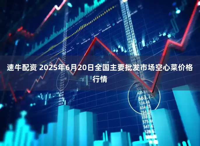 速牛配资 2025年6月20日全国主要批发市场空心菜价格行情