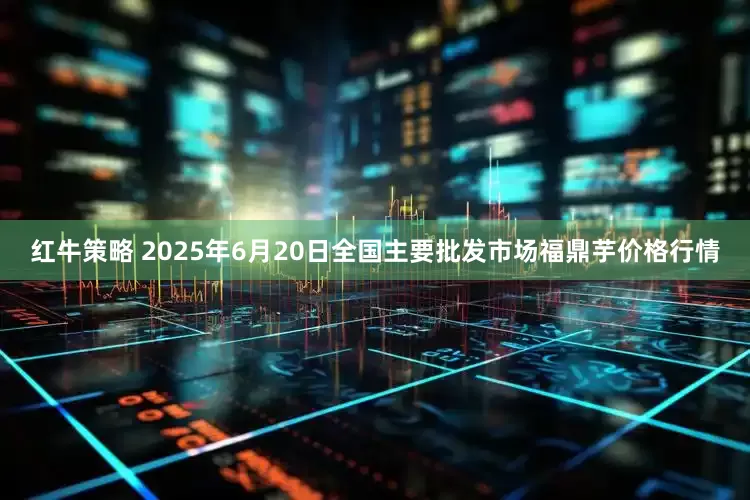 红牛策略 2025年6月20日全国主要批发市场福鼎芋价格行情