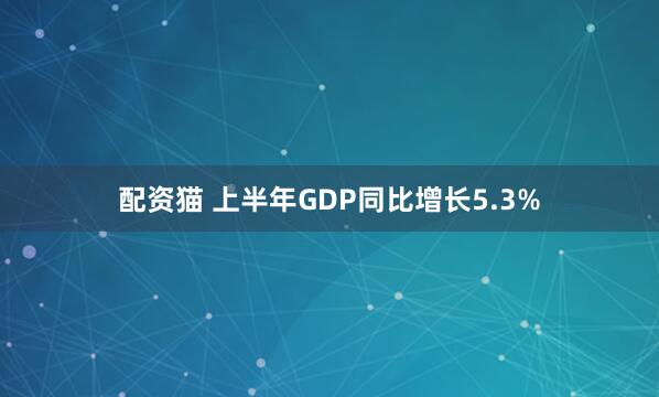配资猫 上半年GDP同比增长5.3%