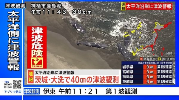 垒富优配 日媒: 千叶县沿岸有4头鲸鱼同时搁浅, 日本网络上有猜测认为与地震有关